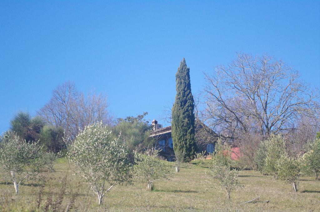 La Casa Sopra Le Nuvole Villa Medesano Kültér fotó